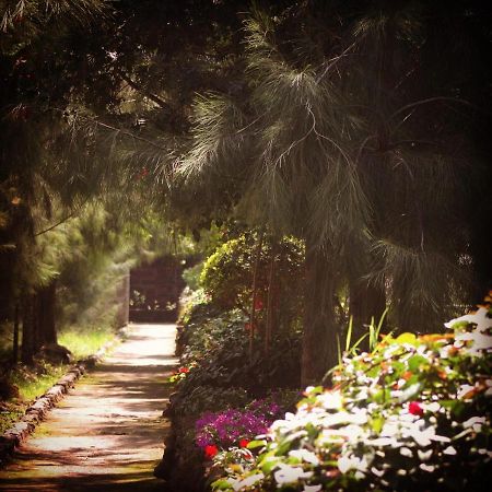 Lillypond Camp Hotel Elmenteita Bagian luar foto