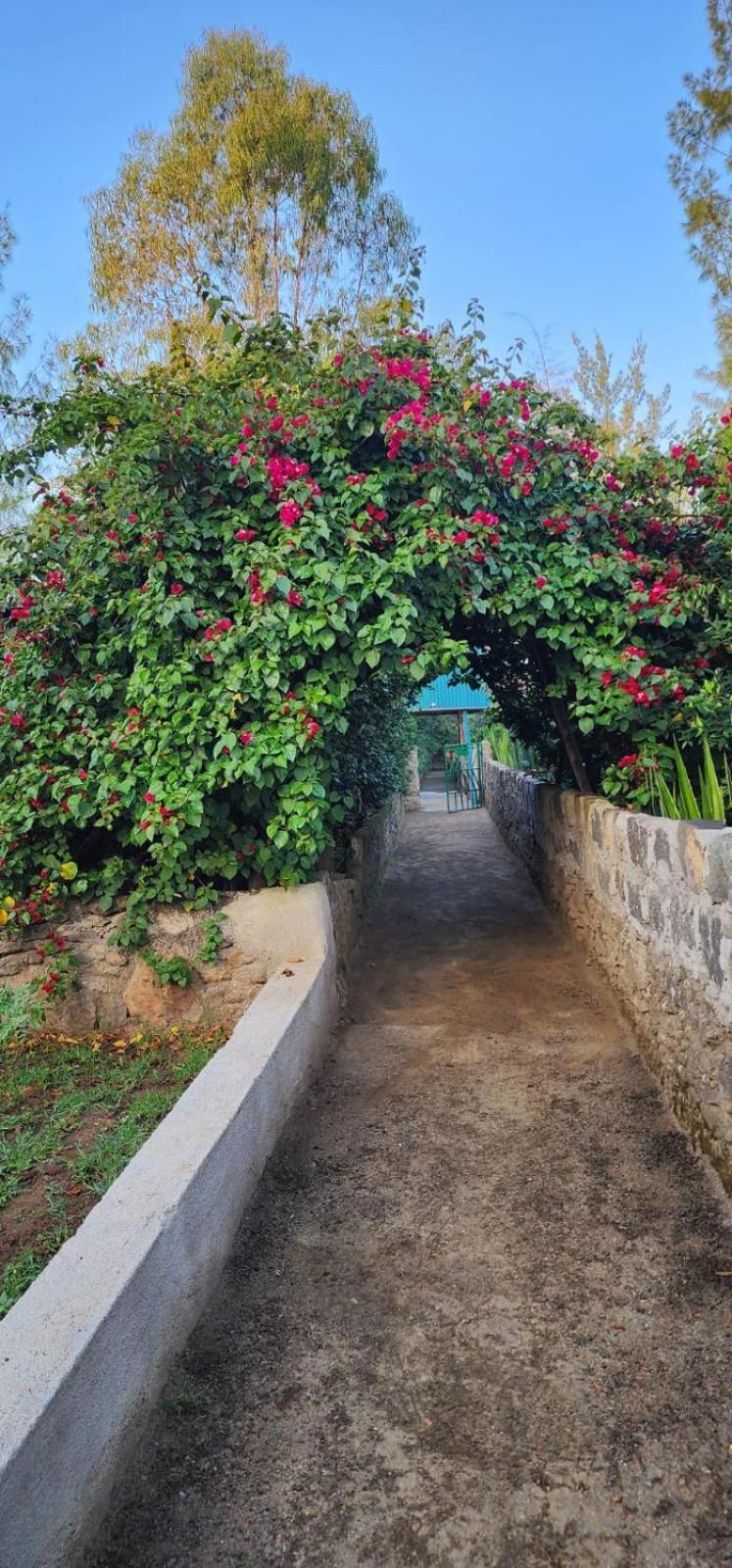 Lillypond Camp Hotel Elmenteita Bagian luar foto